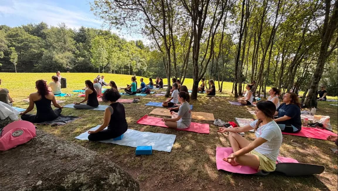 Dezenas de pessoas a praticar yoga à sombra das árvores do Parque do Rio Ul